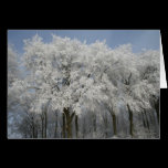 White Christmas cards