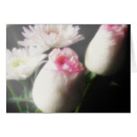 White Chrysanthemums and Roses 5 - Floral Art Greeting Card