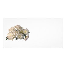 White Chrysanthemums Photo Card
