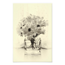White Chrysanthemums Photo Print