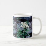 white Close-up of wild flower, Baxter State Park f Coffee Mug