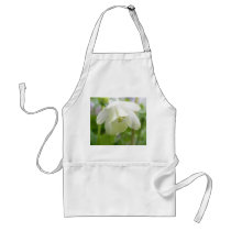 White Columbine Flower  - Aquilegia Apron