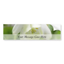 White Columbine Flower  - Aquilegia Bumper Stickers