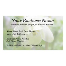 White Columbine Flower  - Aquilegia Business Card Template
