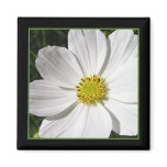 White Cosmos Square Magnet