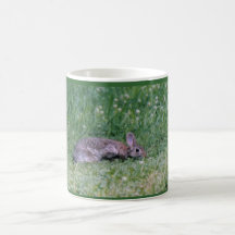 white Cotton tail Mugs