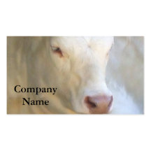 White Cow Business Cards
