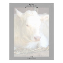 White Cow letterhead
