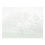 white Crab apple tree, Quebec, Canada flowers Custom Letterhead