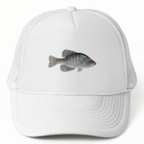 White Crappie