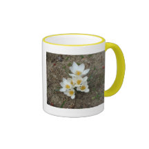 White Crocus Blooms Mugs