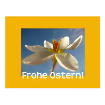 White crocus easter greeting - german postcards