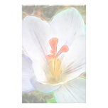 White Crocus Fantasy Customized Stationery