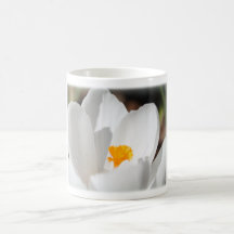 white crocus flower mug