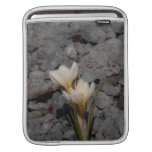 White Crocus iPad Sleeves