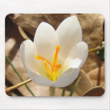 WHITE CROCUS MOUSE PAD