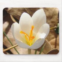 WHITE CROCUS MOUSE PAD