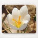 WHITE CROCUS mousepads