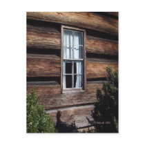 White Curtains Postcard