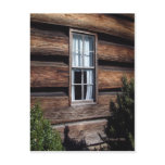 White Curtains postcards
