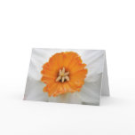 White Daffodil Greeting Card