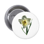 White Daffodil Pins