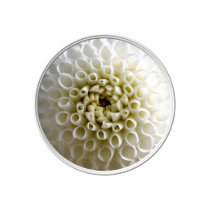White Dahlia Close-up Photo Cut Out