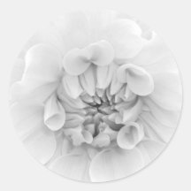 White Dahlia Round Stickers