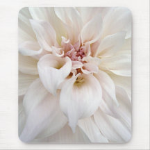 White Dahlia Tapis De Souris