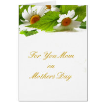 white daisies greeting card