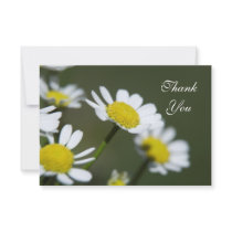 White Daisies Thank You Notes - Flat Personalized Invitation