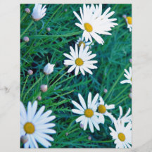 White Daisies with foliage Flyer Design