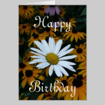 White Daisy and Blackeyed Susans cards