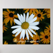 White Daisy and Blackeyed Susans Print
