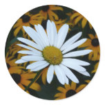 White Daisy and Blackeyed Susans Round Stickers
