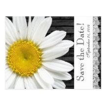 White Daisy Black Wood save the date Postcard