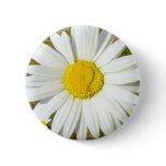 White Daisy Pin