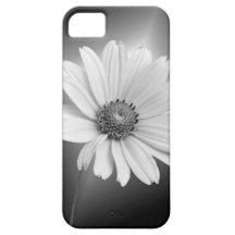 White Daisy iPhone 5 Cover