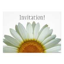 White Daisy Personalized Announcements