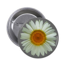 White Daisy Pin