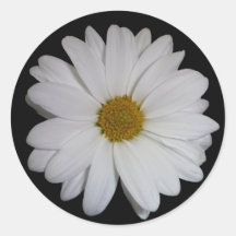 White Daisy Round Stickers