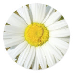 White Daisy Round Stickers