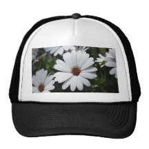 White Daisy's in Bloom Hat