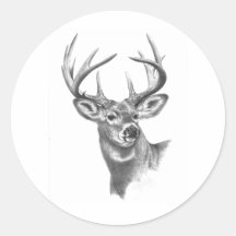 white deer 84 sticker