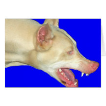 White Doberman Card