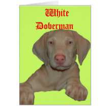 white doberman cards