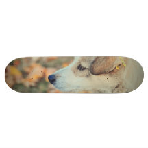 White dog skateboard