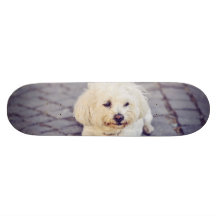 White dog skateboard deck