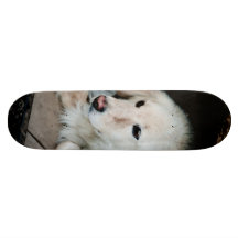 White dog skateboard deck