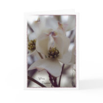 White Dogwood Cards